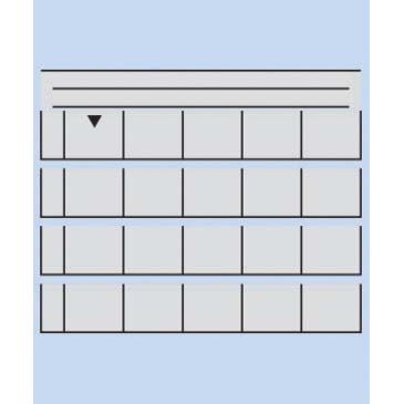 HOJAS PANODIA \'SLIDES\' P56 5X5 PARA COLGAR (100) S/VARILLA