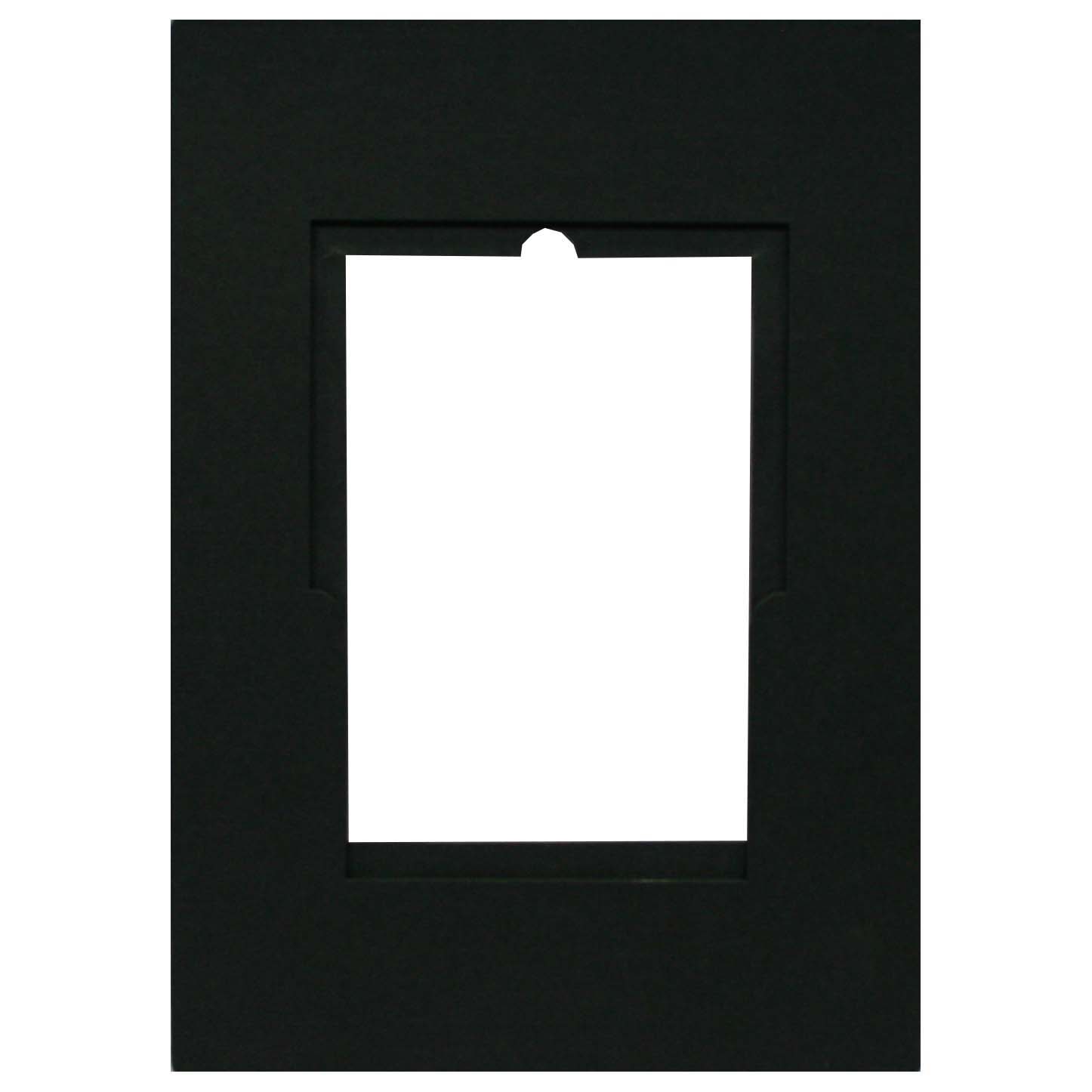 PROSLIDE PANODIA PAS 13X18 D (EXT A4)