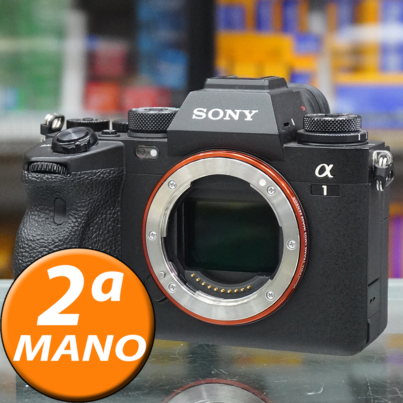 SONY A1