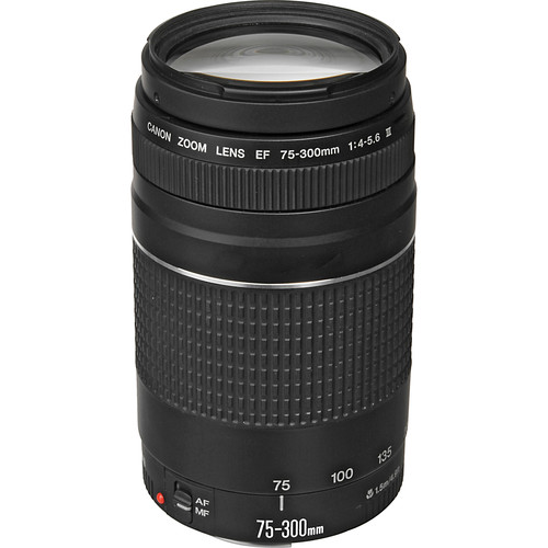 OBJETIVO CANON EF 75-300/4-5.6 III
