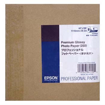 PAPEL EPSON 13\'X10 MT 255G PREMIUM GLOSSY PHOTO PAPER