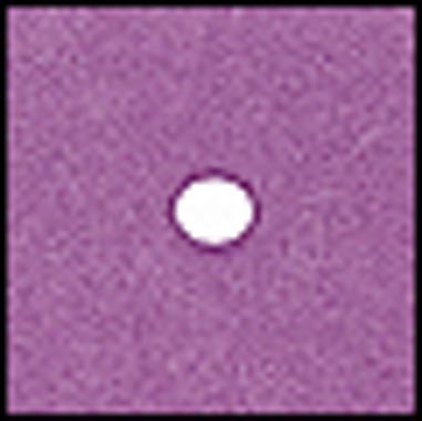 FILTRO COKIN A064 SPOT VIOLETA