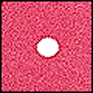 FILTRO COKIN A078 SPOT ANG ROJO