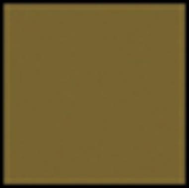 FILTRO COKIN P005 SEPIA