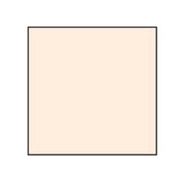 FILTRO LEE 10X10 CORAL 2
