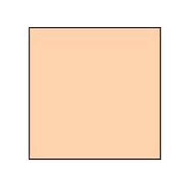 FILTRO LEE 10X10 CORAL 6