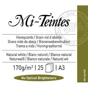 PAPEL CANSON MI-TEINTES A3 25H 170 GR