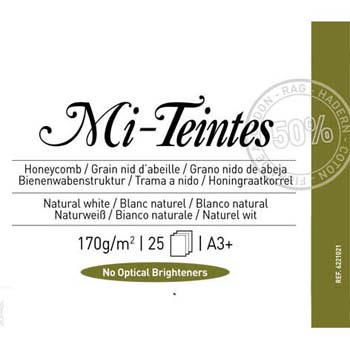PAPEL CANSON MI-TEINTES A3+ 25H 170 GR