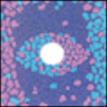 FILTRO COKIN A672 SPOT ROSA-AZUL