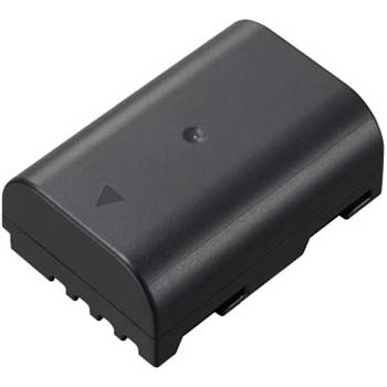 BATERIA PANASONIC DMW-BLF19E