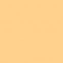 ROLLO FILTRO GELATINA 205 762X122 1/2 CT0