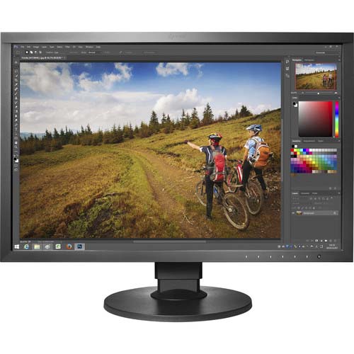 MONITOR EIZO CS-2420 SIN VISERA CON COLORNAVIGATOR