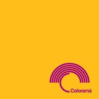 FONDO COLORAMA BUTTERCUP 70 2.72X11 MTS CR-11170