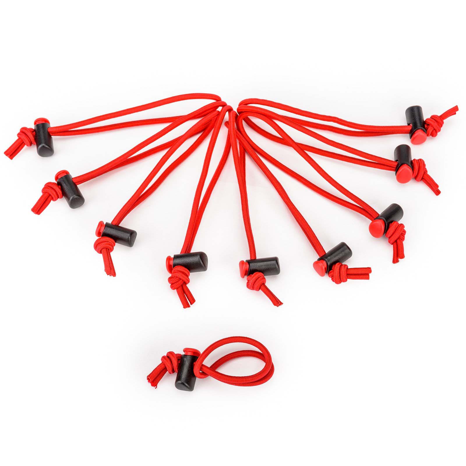 BRIDAS TTP RED WHIPS V2.0 (12)