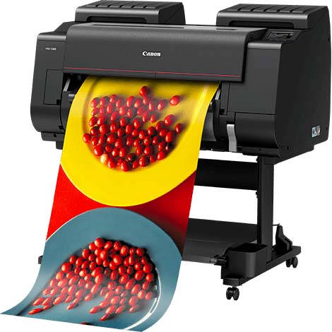 IMPRESORA CANON IMAGE PROGRAF PRO-2100 (PEDESTAL INCL)