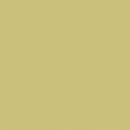 FONDO COLORAMA FERN 12  2.72X11 MTS   CR-27012
