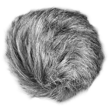 ANTIVIENTO ZOOM WSU-1