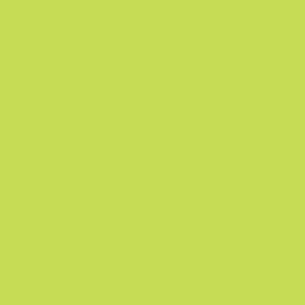 FILTRO GELATINA 088 53X61 LIME GREEN ROSCO 