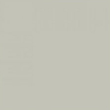 FONDO COLORAMA PLATINUM  81  1.35X11 MTS CR-13081