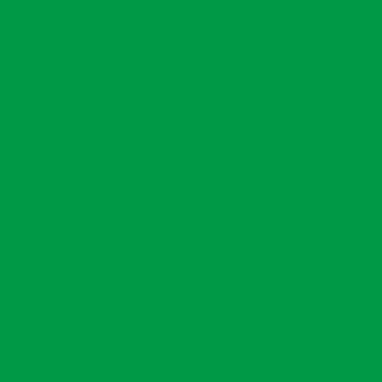 Fondo Tela Croma Verde 3 x 6m