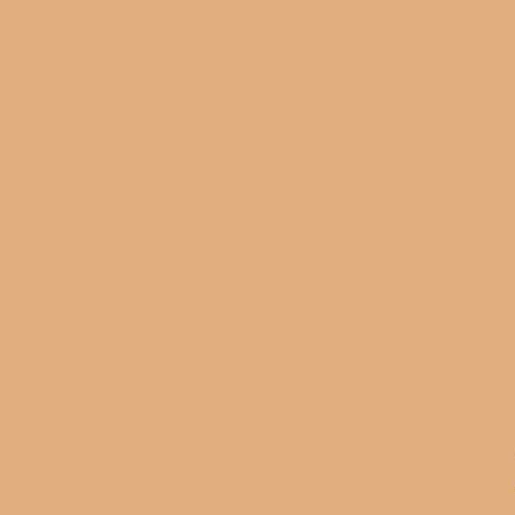 FONDO SAVAGE PAPEL 2.72X11 MTS BEIGE (N.25) SAVAGE 