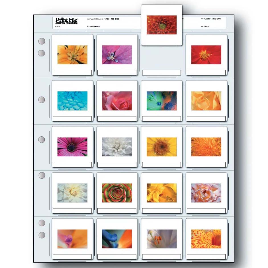 HOJAS PRINT FILE DIAPOSITIVAS 35MM 20 DEPARTAMENTOS (100H)