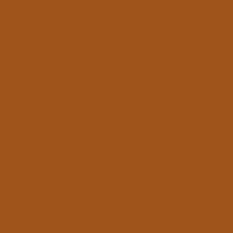 FONDO SUPERIOR 2.75 X 11M 541 SPICE (SAV-17)