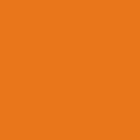 FONDO SUPERIOR 2.75 X 11M 94 ORANGE (SAV-24)