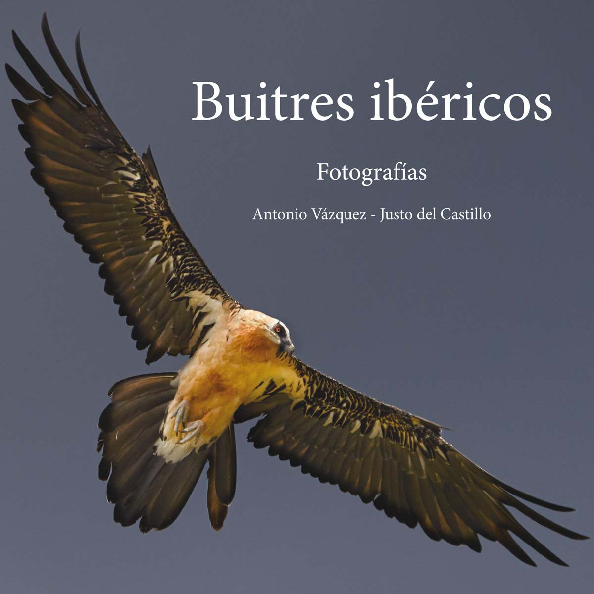 LIBRO BUITRES IBERICOS (ANTONIO VAZQUEZ - JUSTO DEL CASTILLO