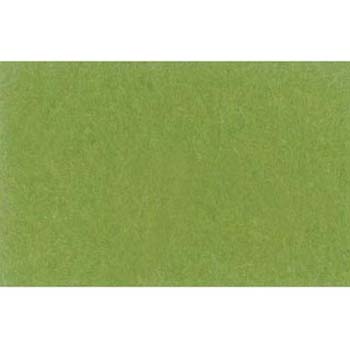 FONDO LASTOLITE CORTINA TELA 3X7 MTS VERDE CHROMAKEY