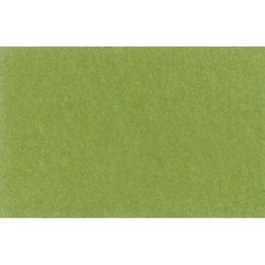 FONDO LASTOLITE PAPEL 2.75X11 LEAF GREEN LASTOLITE 