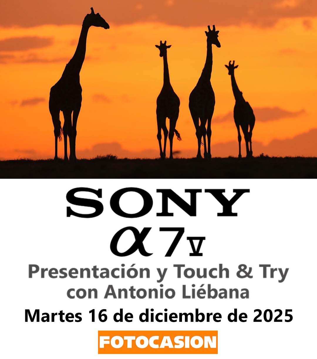 Sony A7V Presentación y Touch & Try
